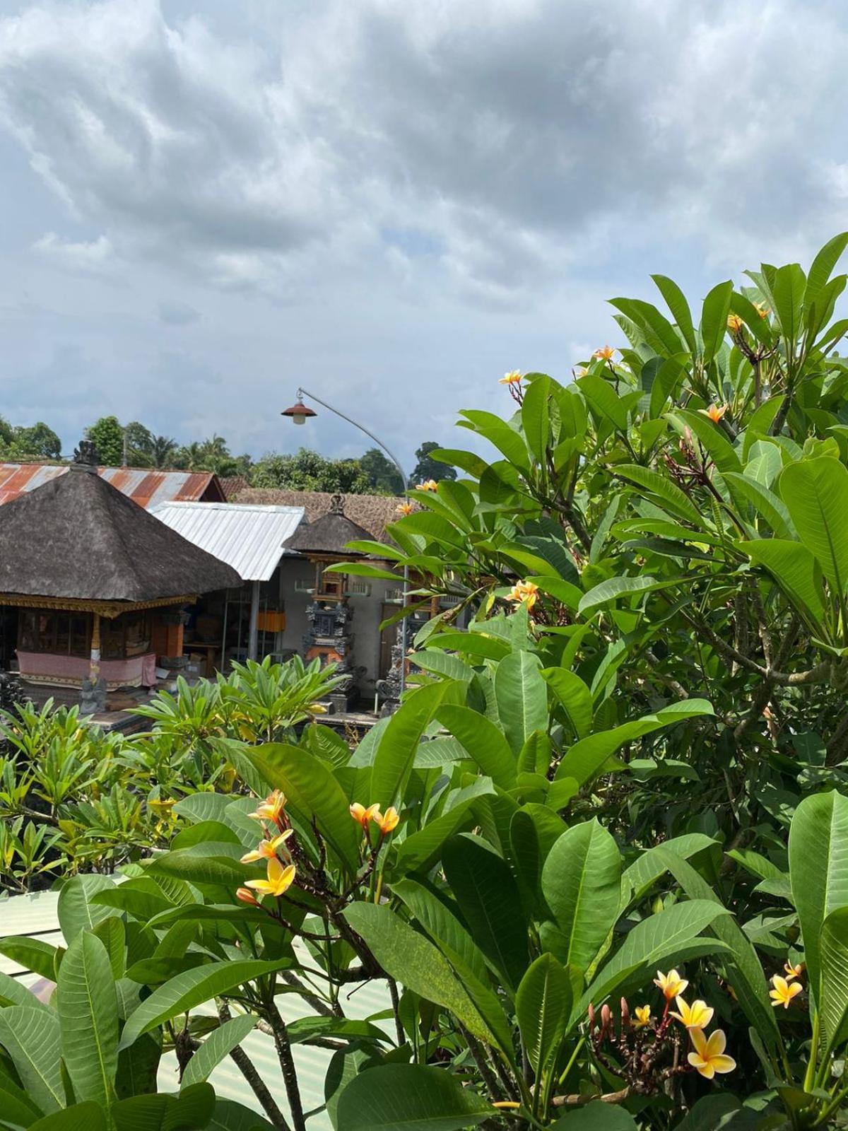 Cuan House Ubud Exteriér fotografie